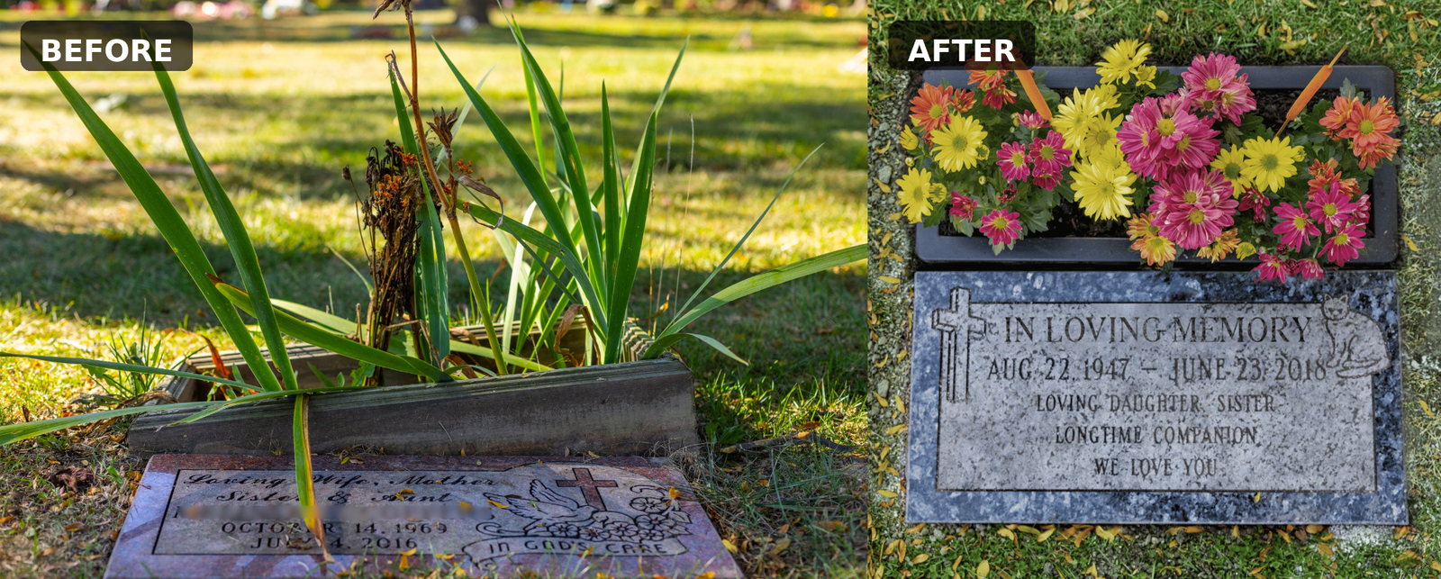 Before and after the Floweverbox